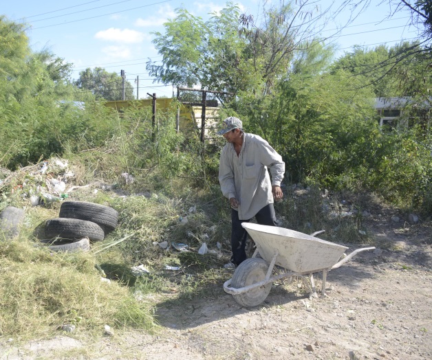 Llaman a limpiar terrenos baldíos Llaman a limpiar terrenos baldíos