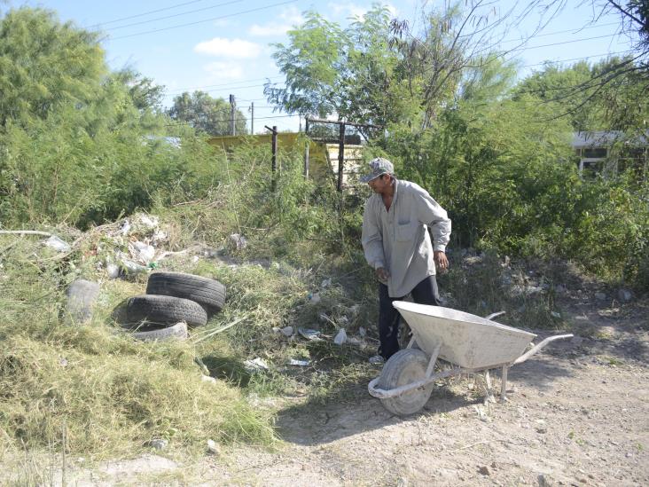 Llaman a limpiar terrenos baldíos Llaman a limpiar terrenos baldíos