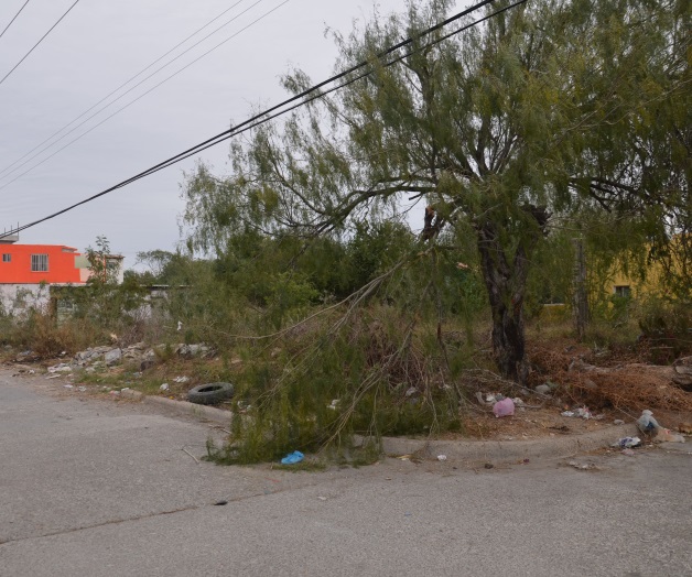 Dan una mala imagen de la ciudad