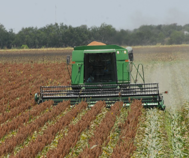 Zozobra en el campo por falta de pagos