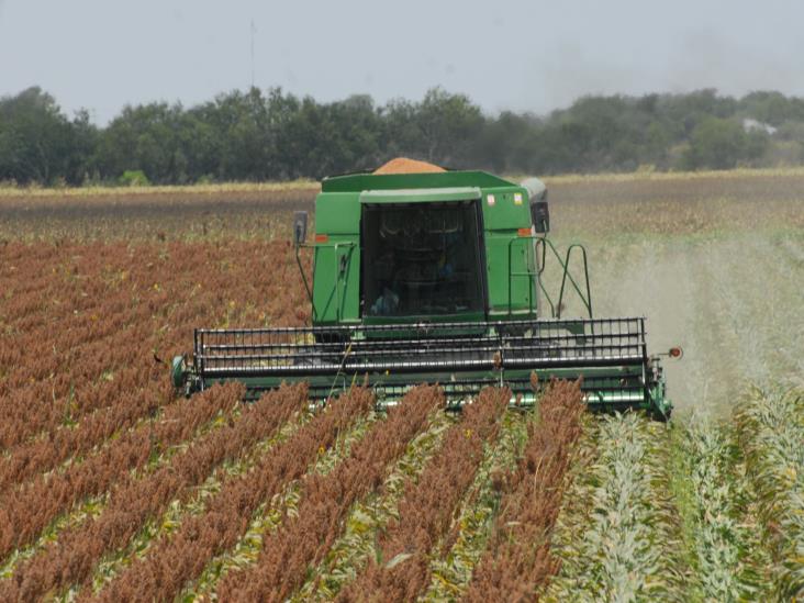 Zozobra en el campo por falta de pagos Zozobra en el campo por falta de pagos