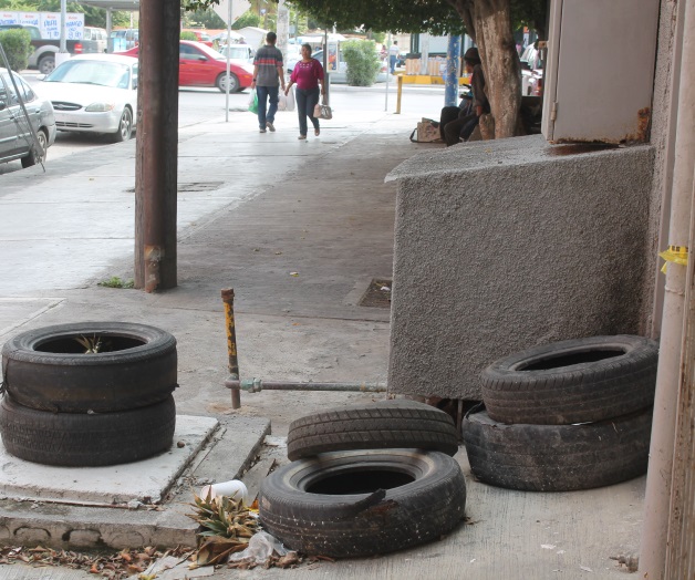 Son 60 casos de dengue Son 60 casos de dengue