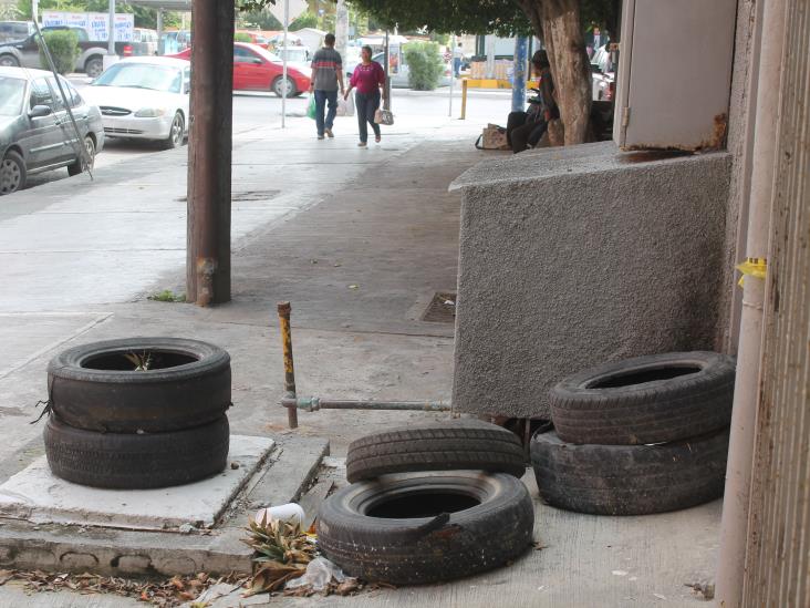 Son 60 casos de dengue Son 60 casos de dengue