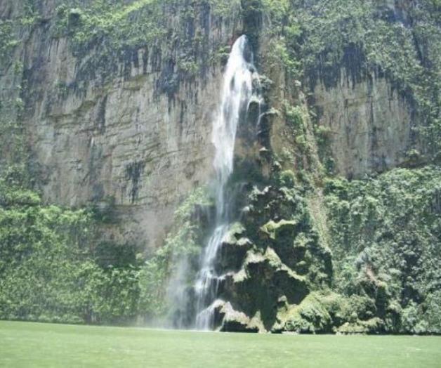 Expertos rescatan Árbol de Navidad formado en paredes del Sumidero Expertos rescatan Árbol de Navidad formado en paredes del Sumidero
