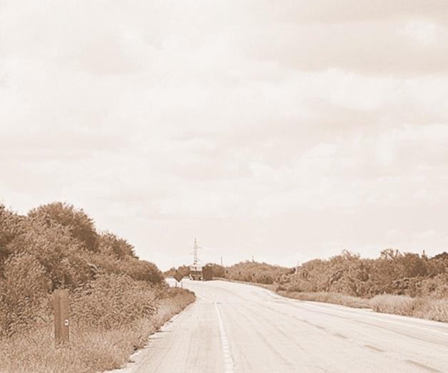 La mujer vestida de blanco
