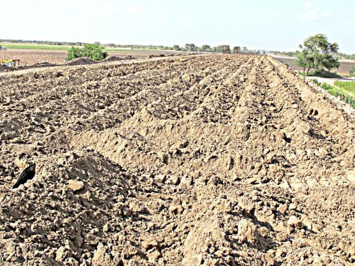 Deberán de reforzar limpieza en predios Deberán de reforzar limpieza en predios