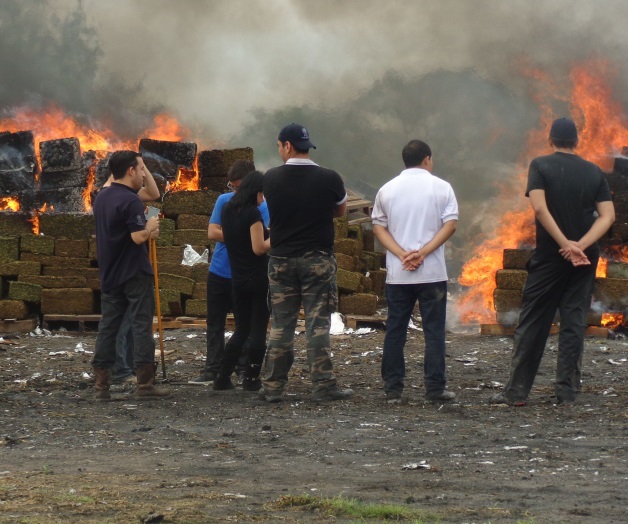 Incineradas casi 11toneladas de droga