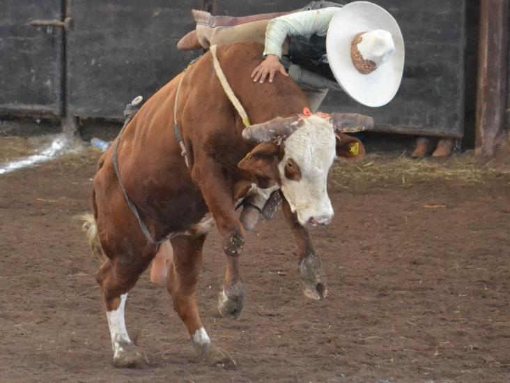 Se quedan en la orilla Se quedan en la orilla