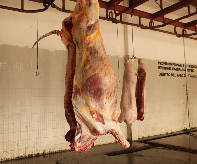 Se espera mayor sacrificio decerdos en Rastro Municipal