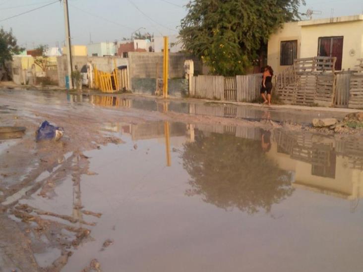 Asfixia a vecinos fuga de aguas negras Asfixia a vecinos fuga de aguas negras