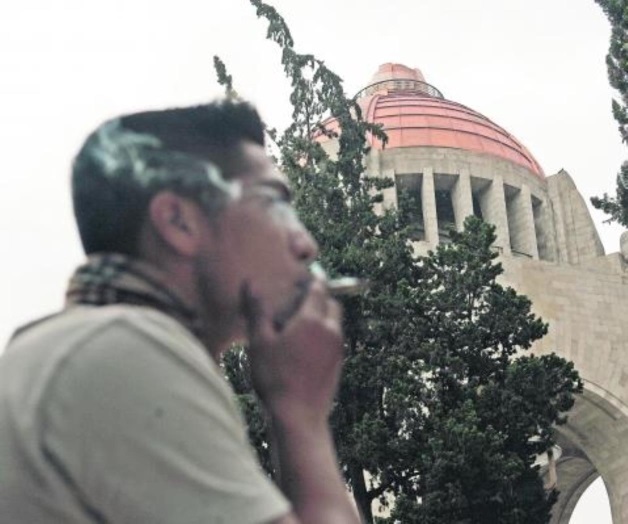 PRD pide a Cofepris 32 permisos para uso lúdico de marihuana