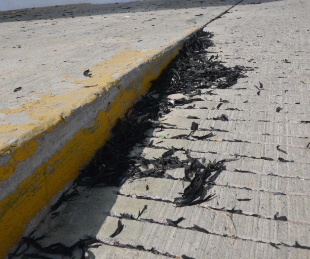 ¡Ya ni la tiznan! ¡Ya ni la tiznan!