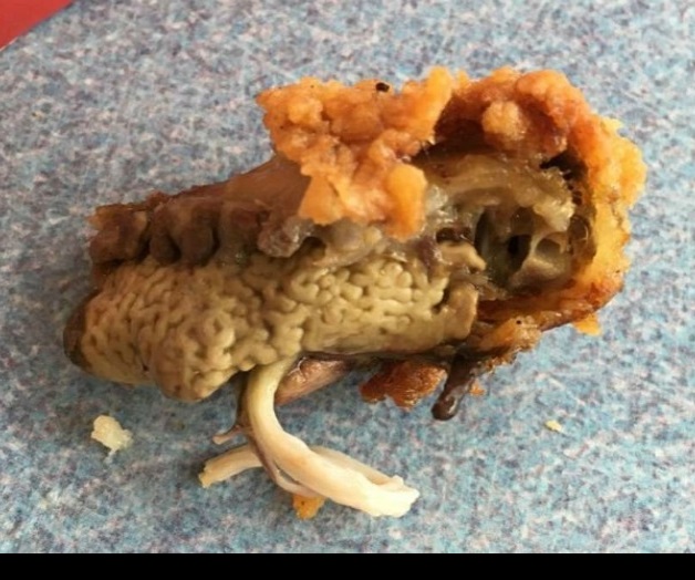 Encuentran una especie de cerebro en pieza de pollo frito, una franquicia mundial