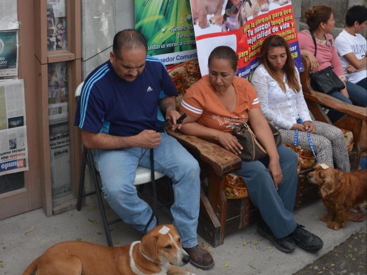 Esterilizan a 80 mascotas Esterilizan a 80 mascotas