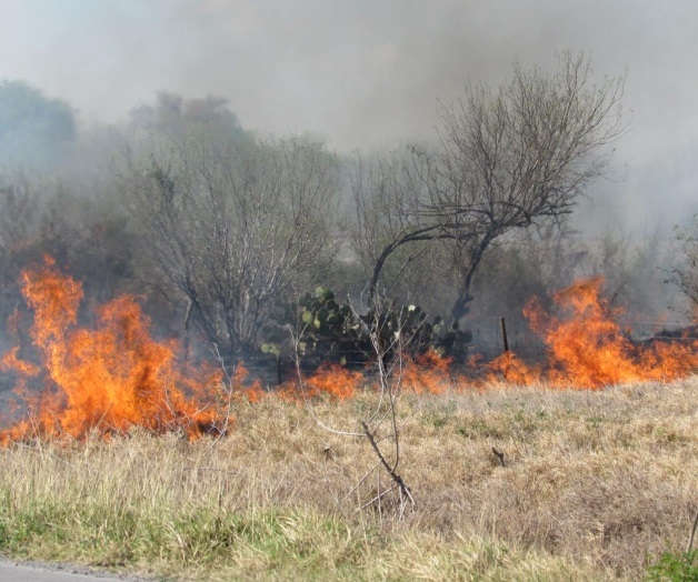 Quema de pastizalespeligro en la vialidad