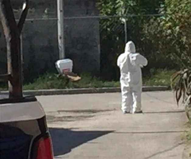 Hallan cabeza humana en hielera Hallan cabeza humana en hielera