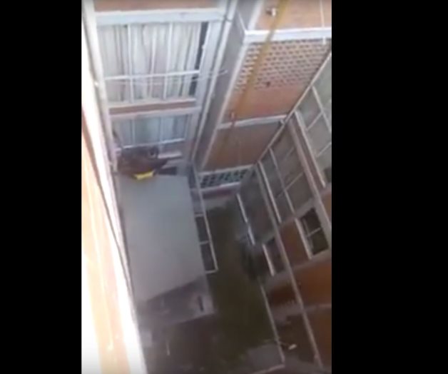 VIDEO: Niño llora y pide comida desde un departamento VIDEO: Niño llora y pide comida desde un departamento