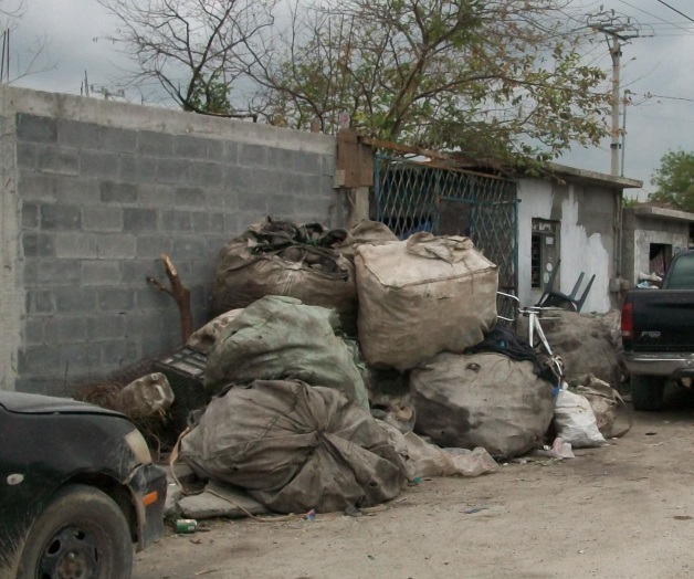 Demandan familias fumigar las colonias