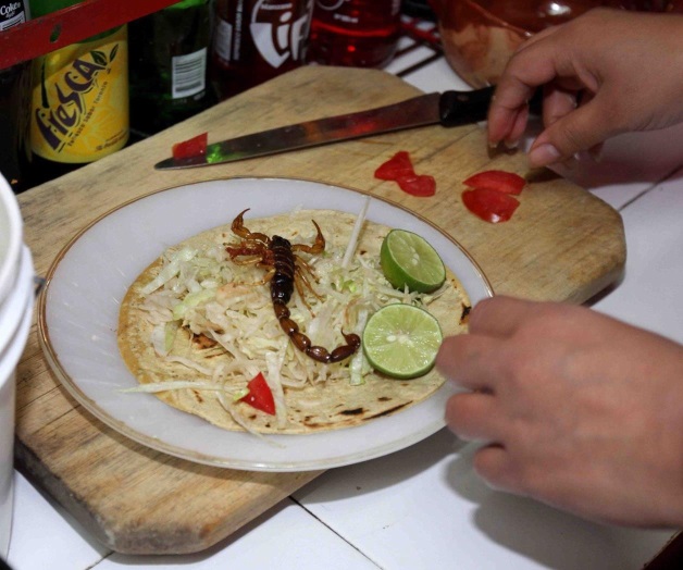 Tacos de alacrán, gran atractivo para los visitantes de Durango