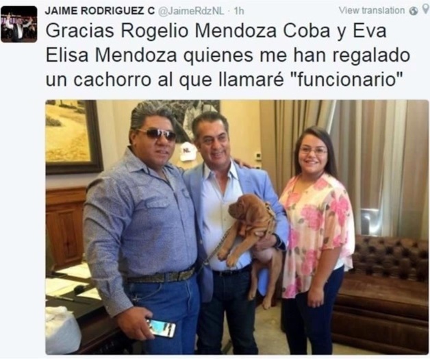 Regalan mascota al Bronco en NL