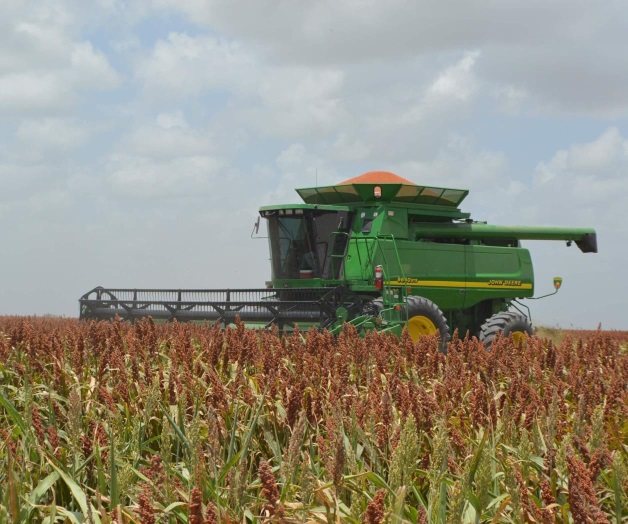 Trabajan a toda máquina Trabajan a toda máquina