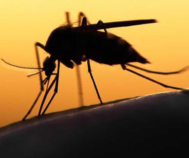 ¿Tiene ronchas? ¡Puede ser zika!