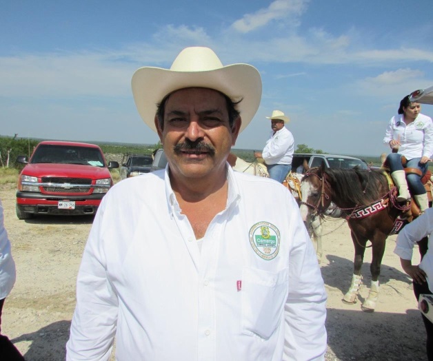 Alarma alta incidenciade gorgojo en el maíz