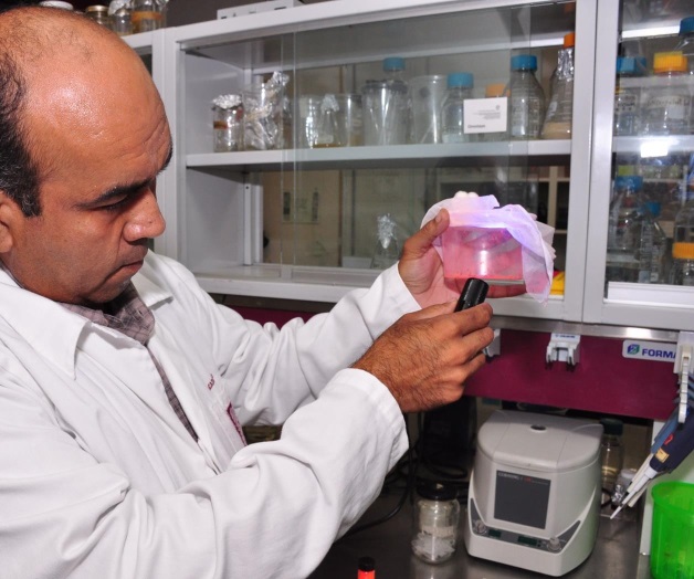 MOSQUITOS VS MOSQUITOS; BIOCONTROL