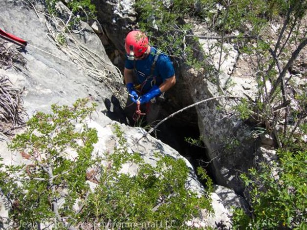 Un pez mexicano: la pista sobre un pasadizo subterráneo en la frontera (que no es de El Chapo)