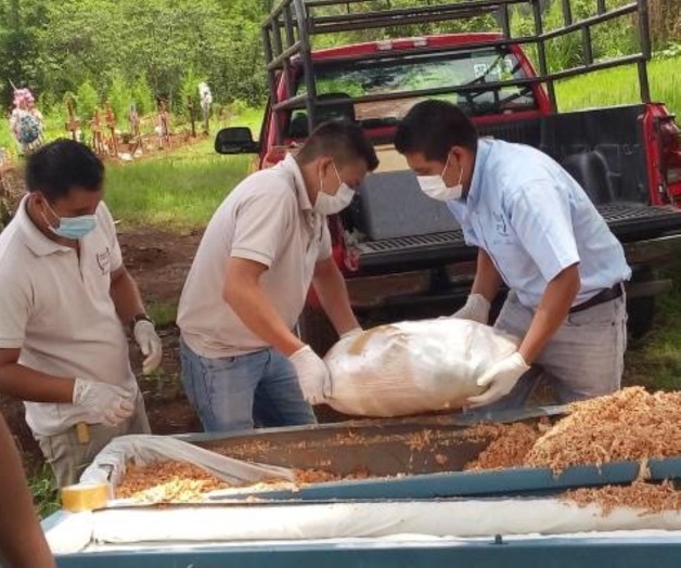 ¿Por qué ocultó el Gobierno de Veracruz el hallazgo de ocho cuerpos desmembrados?