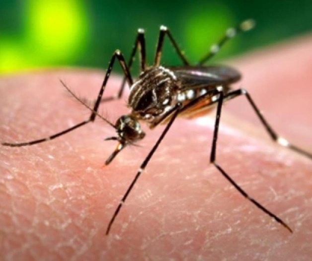 Capacita IMSS a su personal de Chihuahua sobre virus de zika