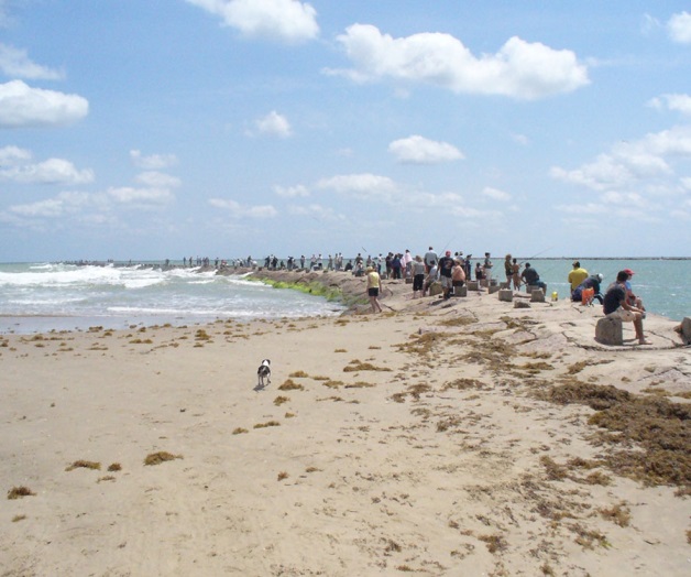 Invitan a no tirar basura