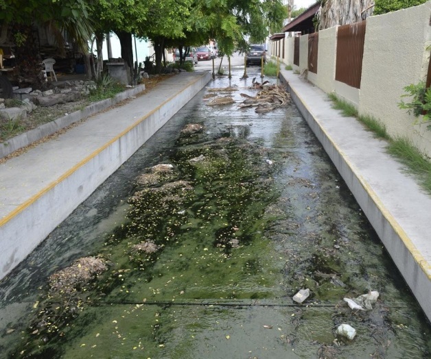 Piden erradicar aguas negras