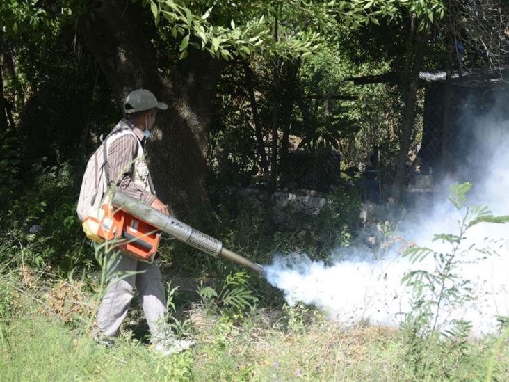 Registran 33 casosde dengue en 2016 Registran 33 casosde dengue en 2016