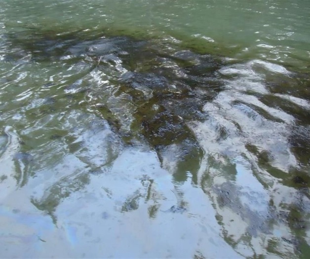 Degradarían bacterias petróleo en el mar