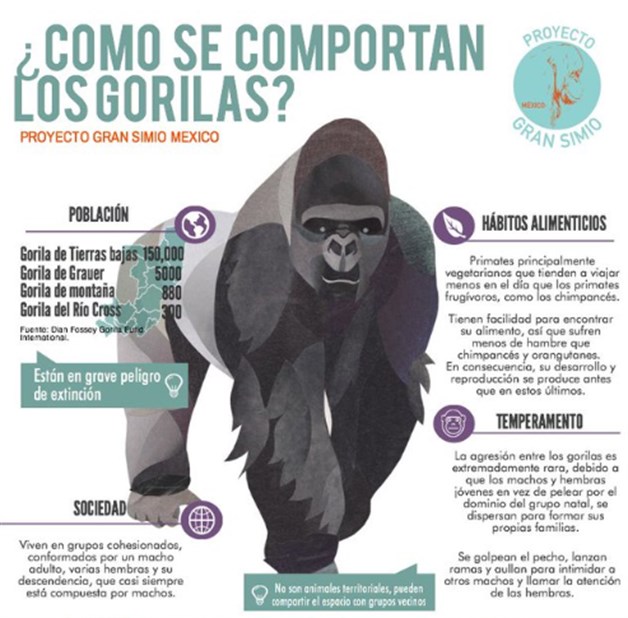 Intentaron reanimar a Bantú