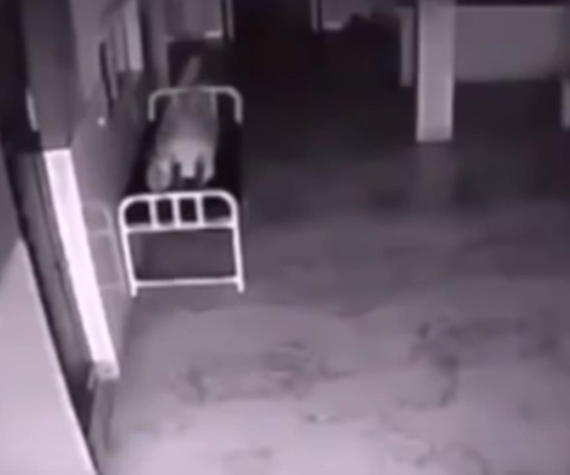 Video viral muestra el momento en el que alma abandona un cuerpo
