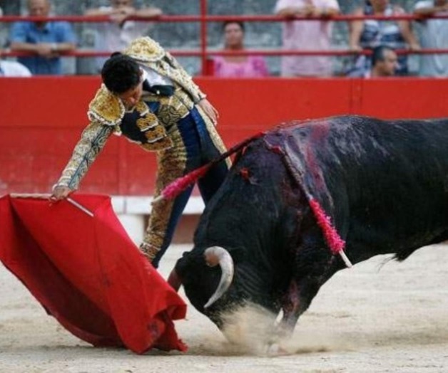 Corridas de toros quedan fuera de patrimonio de Francia