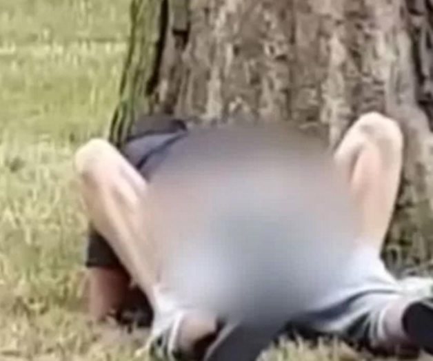 Pareja tiene sexo debajo de un árbol en un parque público