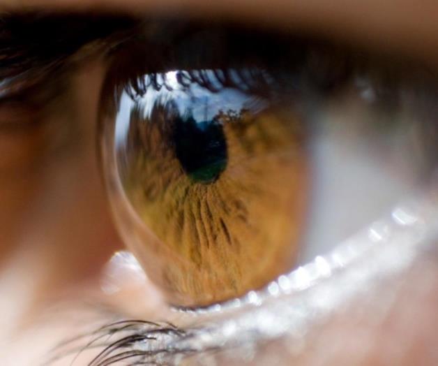 IMSS llama a atender oportunamente padecimientos oculares IMSS llama a atender oportunamente padecimientos oculares