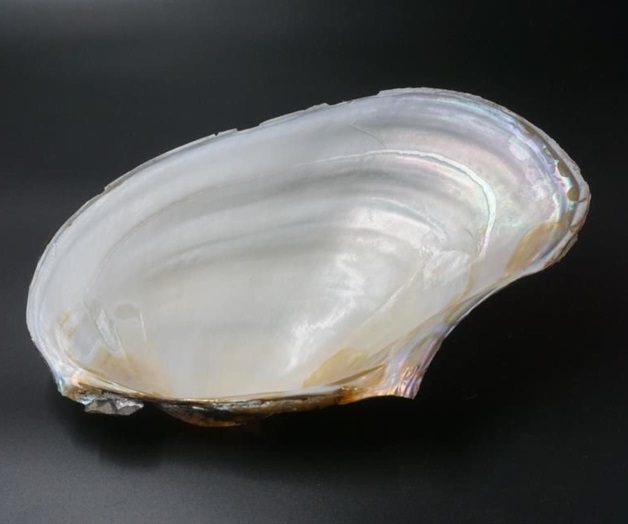 Crean nácar sintético