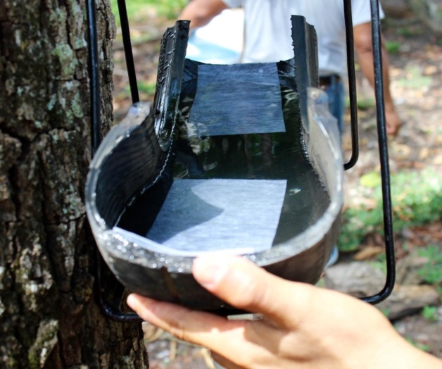 Ovillanta: Un método más contrael zika Ovillanta: Un método más contrael zika