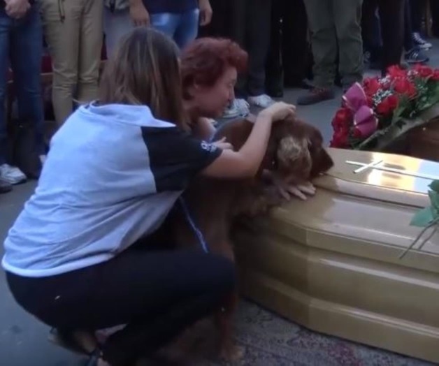 Perro se niega a abandonar ataúd de su dueño en Italia