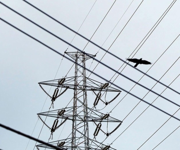 Suma CFE a Sumex como competidor Suma CFE a Sumex como competidor