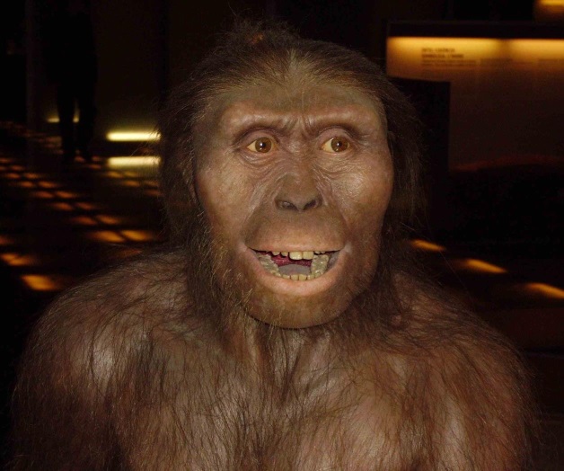 Así murió ‘LUCY’ la australopiteca Así murió ‘LUCY’ la australopiteca