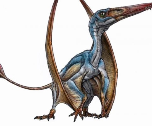 Descubren restos de un reptil volador del Jurásico