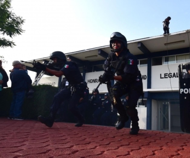 Fuerzas federales liberan a dos personas secuestradas en Veracruz Fuerzas federales liberan a dos personas secuestradas en Veracruz