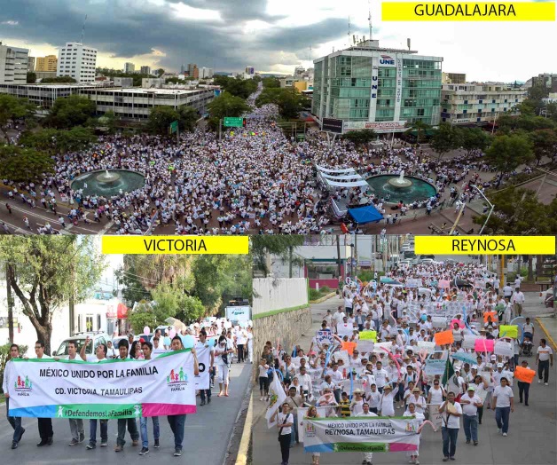 Rechazo a unión de gays; Marchas en el País