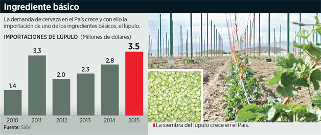 PlaceHolder Imagen PlaceHolder Imagen