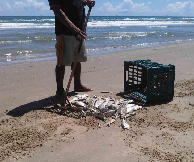 Confirma Coeprissí hay Marea Roja